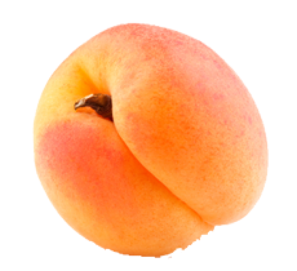 Fresh Apricot PNG High-Quality Image