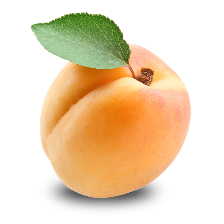 Fresh Apricot PNG Image
