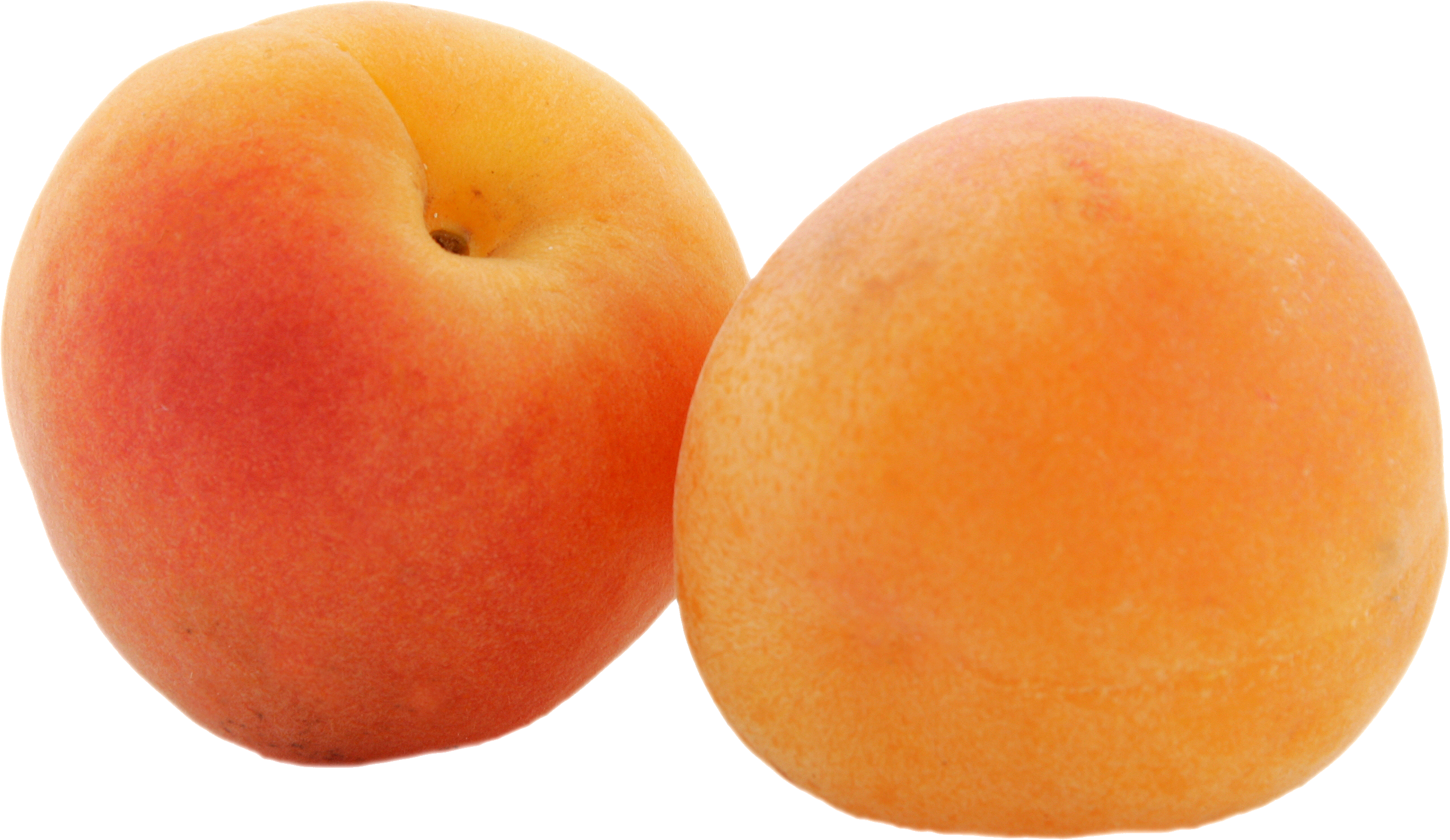 Fresh Apricot PNG Photo