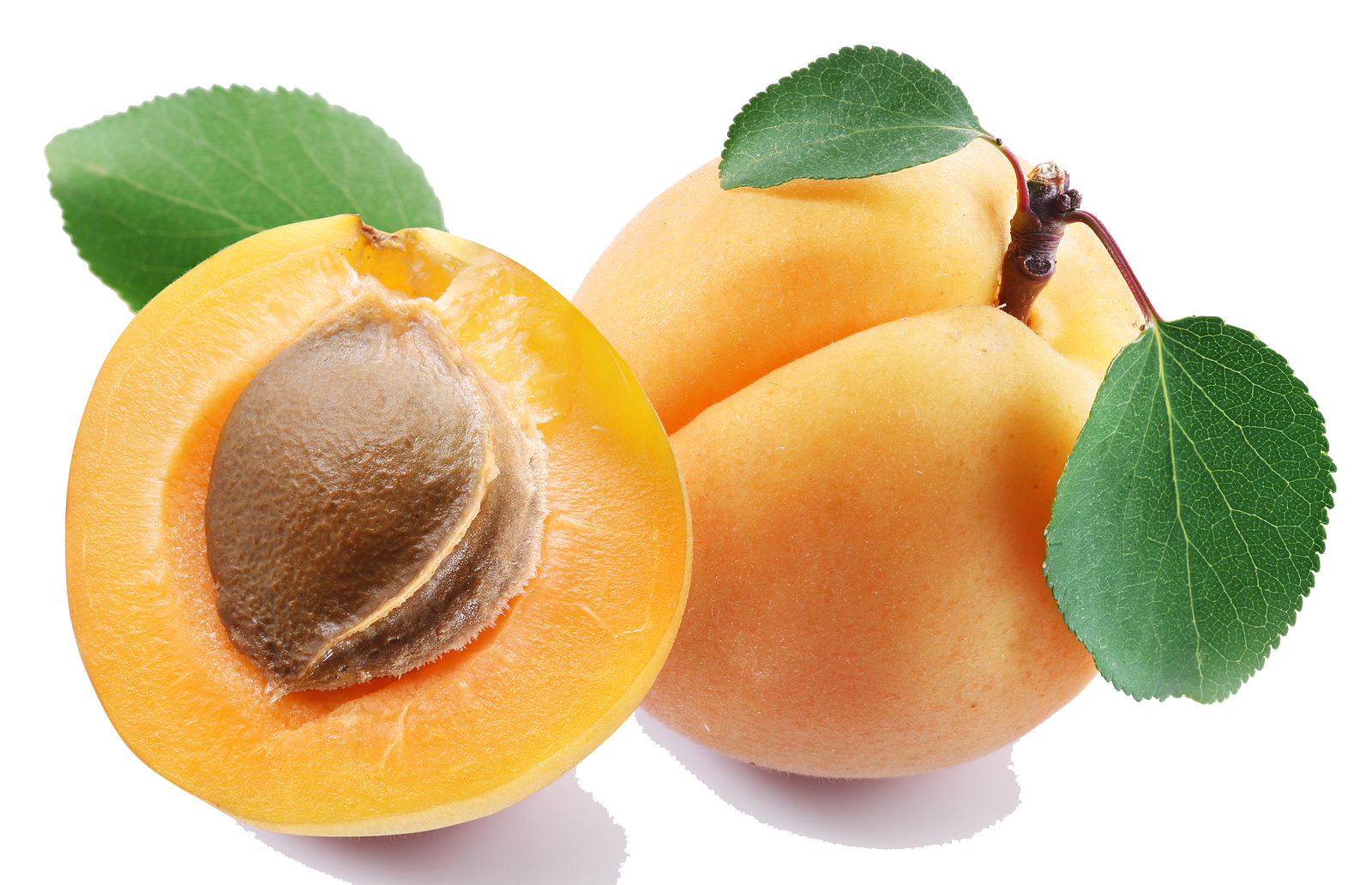 Fresh Apricot PNG Transparent Image