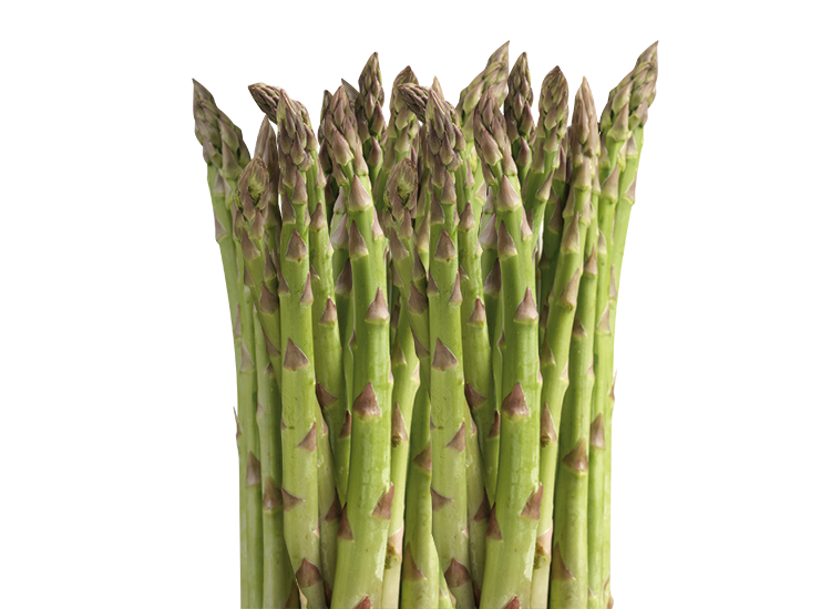 Segar asparagus PNG unduh Gambar