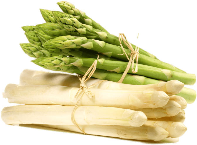 Frisches Spargel-PNG-Foto
