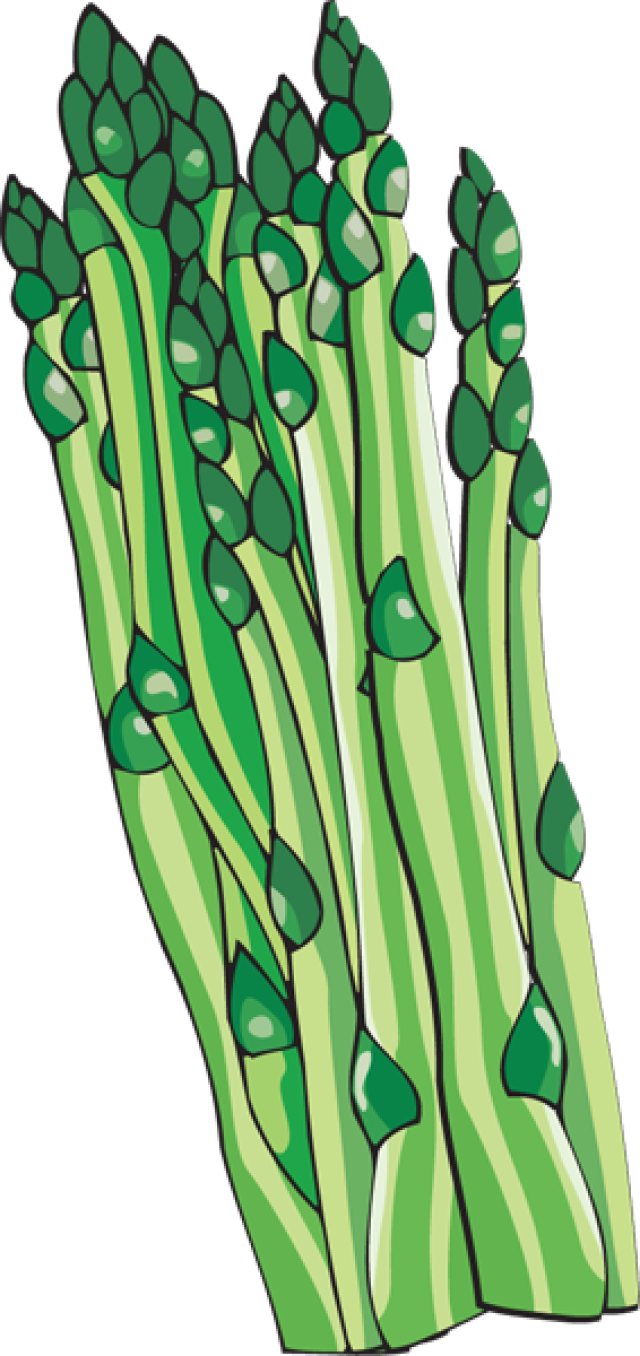 Gambar asparagus segar PNG Transparan