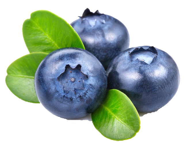 Gambar blueberry PNG segar berkualitas tinggi
