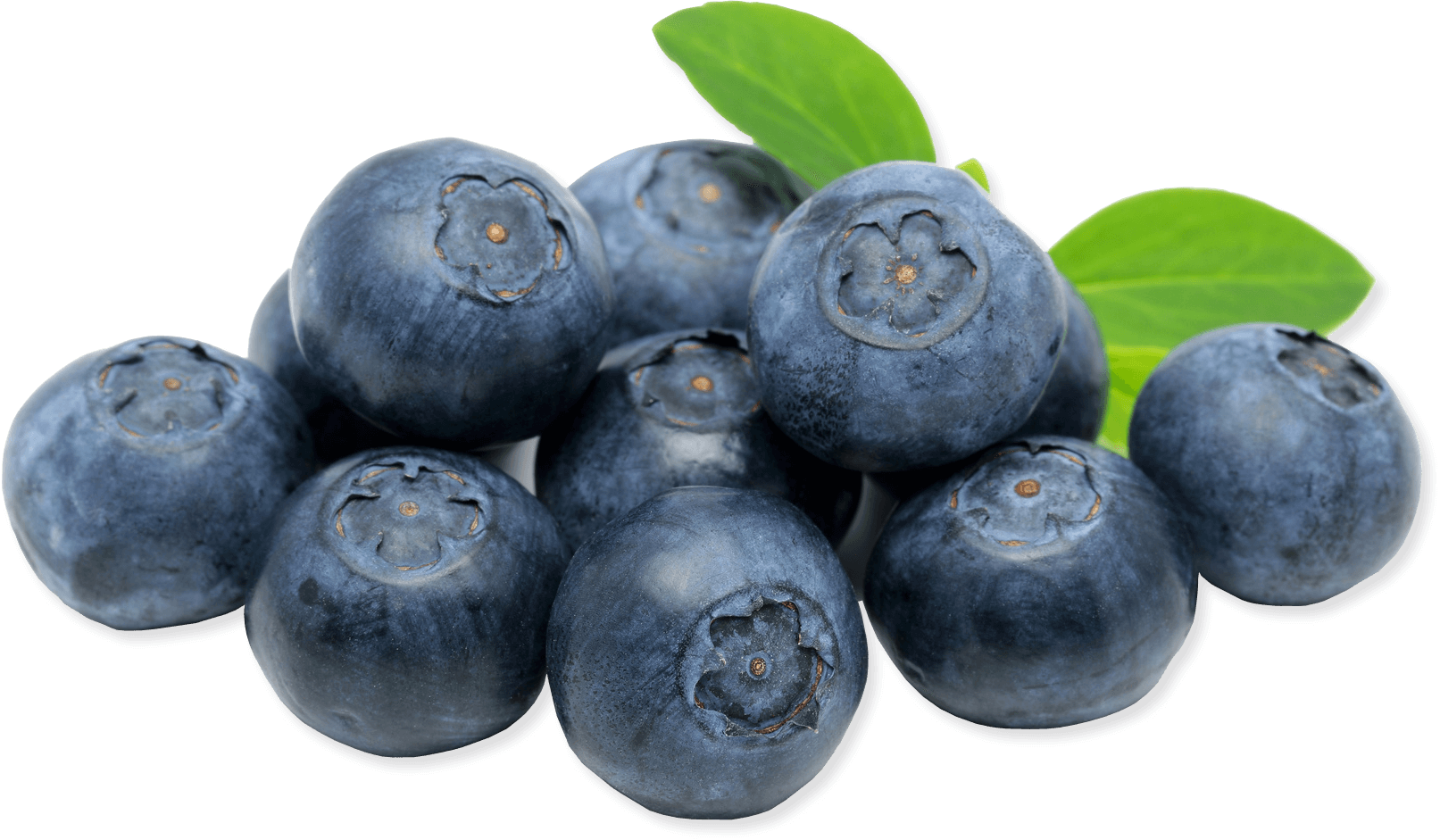 Latar belakang Gambar blueberry segar
