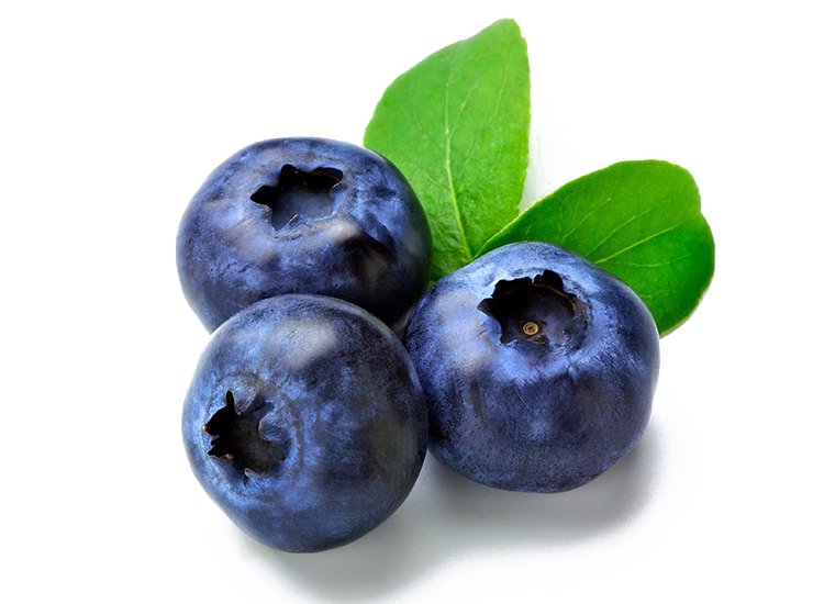 Gambar PNG blueberry segar