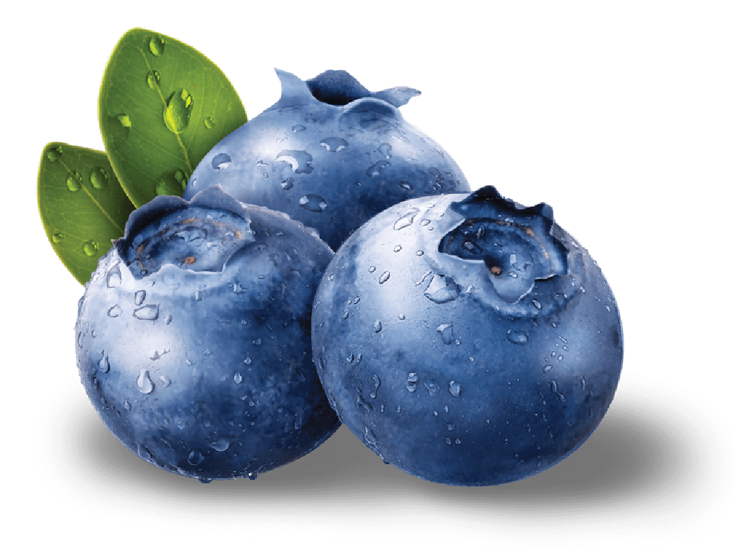 Fresh Blueberry PNG Transparent Image