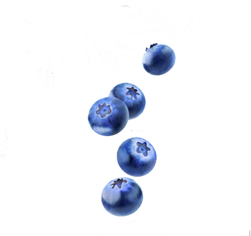 Gambar Transparan blueberry segar