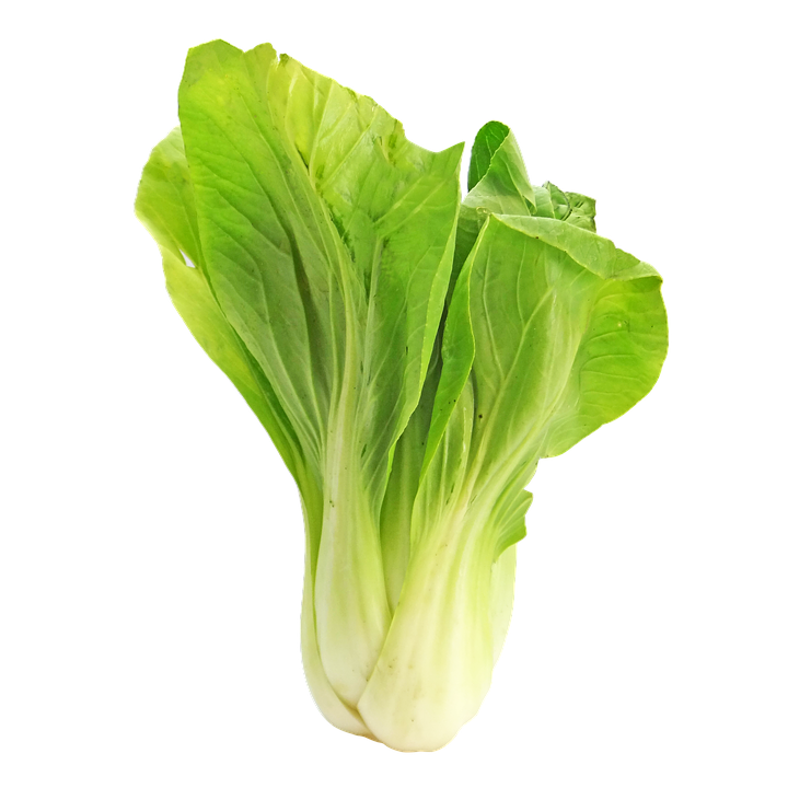 Verse bok choy PNG Download Afbeelding