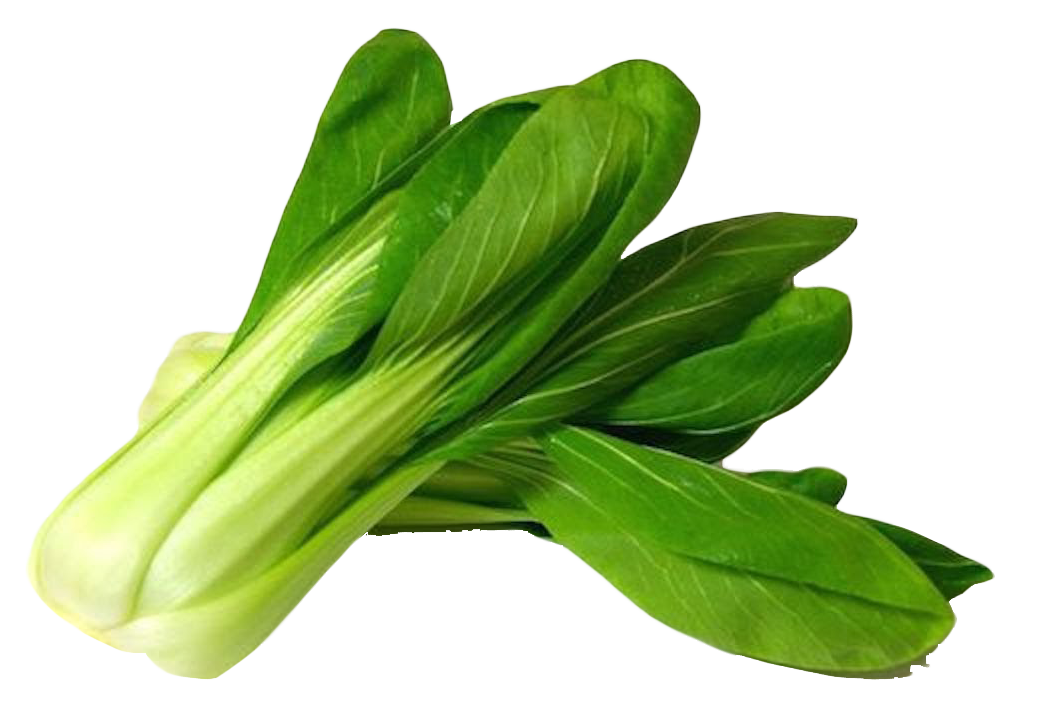 Verse bok choy PNG Beeld achtergrond