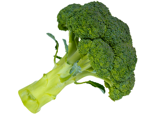 Fresh Broccoli PNG Download Image