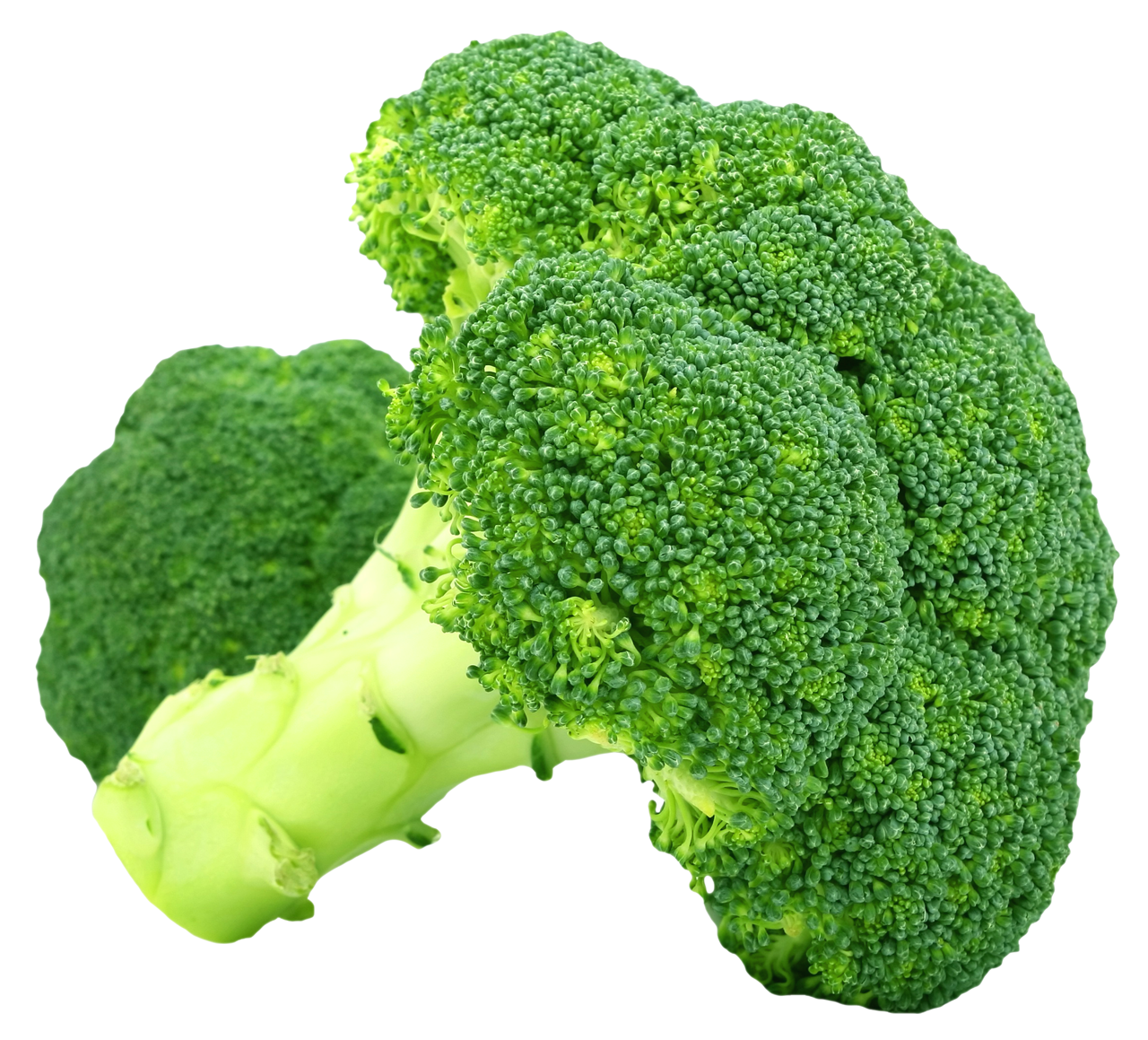 Fresh Broccoli PNG High-Quality Image