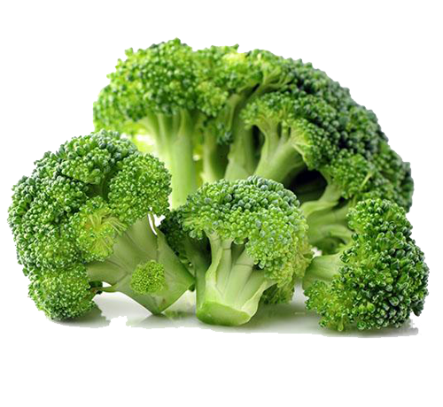 Fresh Broccoli PNG Image Background