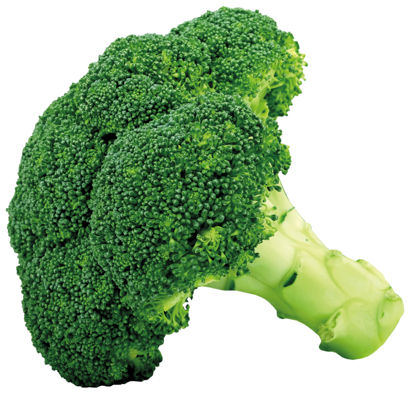 Imagen de PNG de brócoli fresco