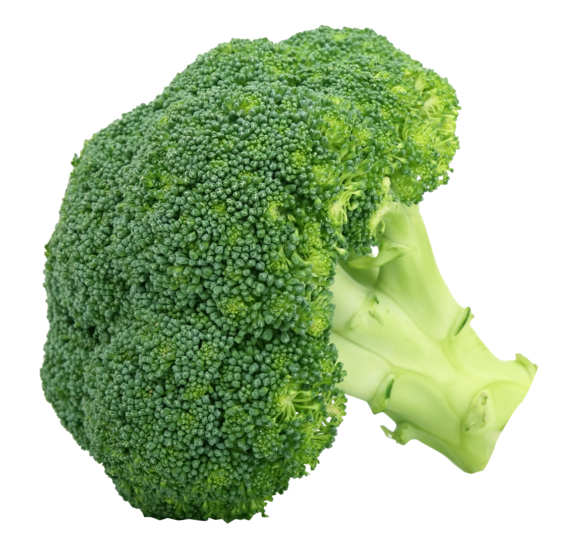 Broccoli fresco PNG photo