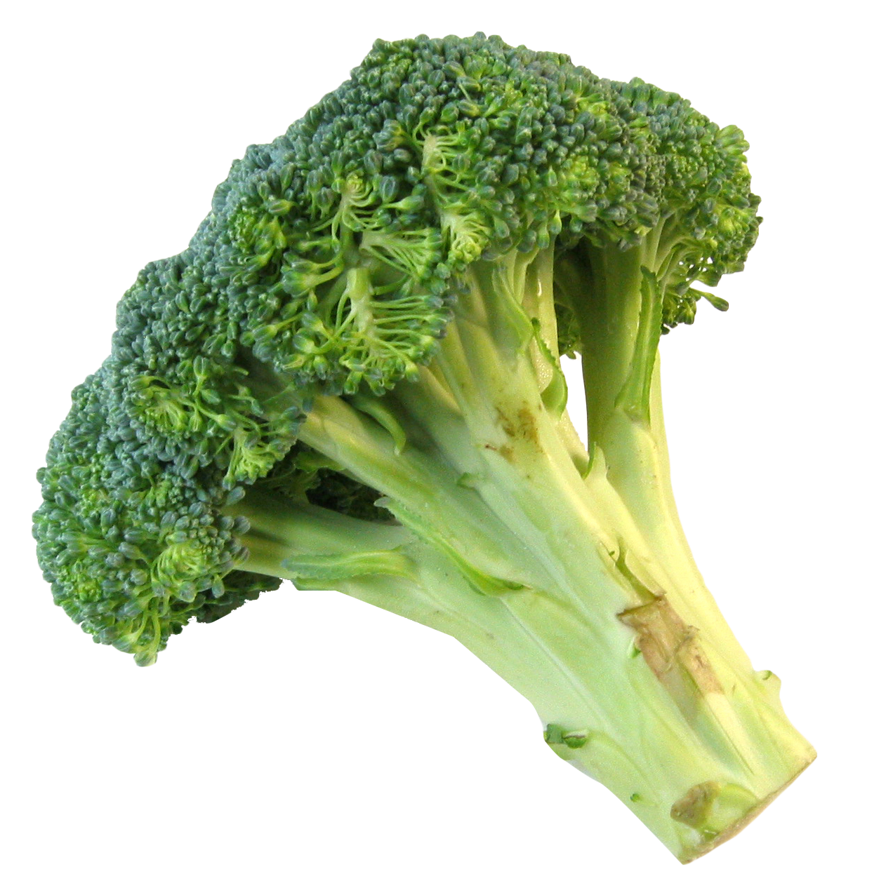 Immagine Trasparente broccoli freschi