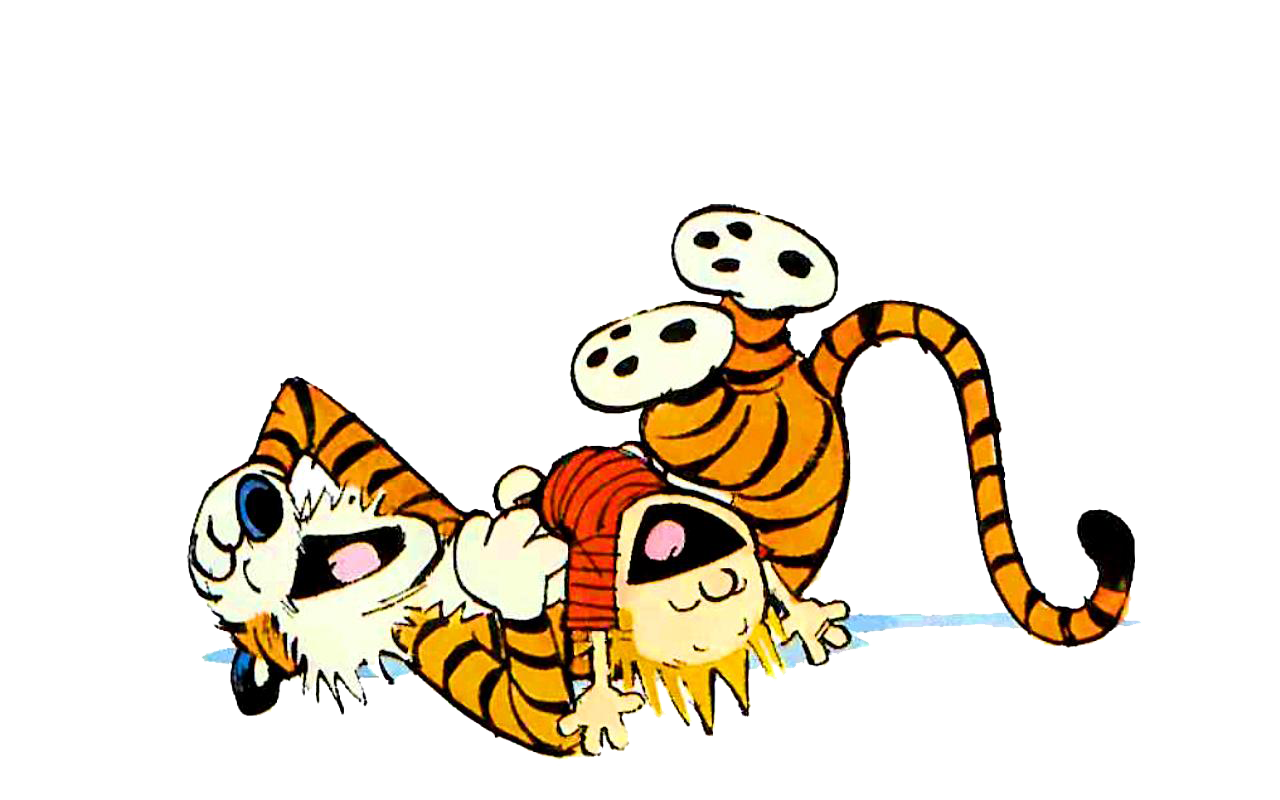 Funny Calvin And Hobbes PNG Photo