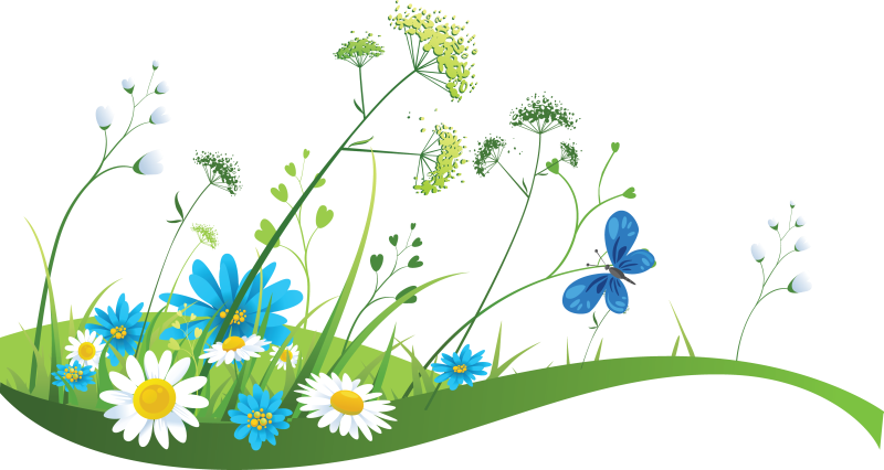 Grass Meadow Free PNG Image