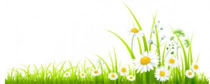 Grass Meadow PNG High-Quality Image | PNG Arts