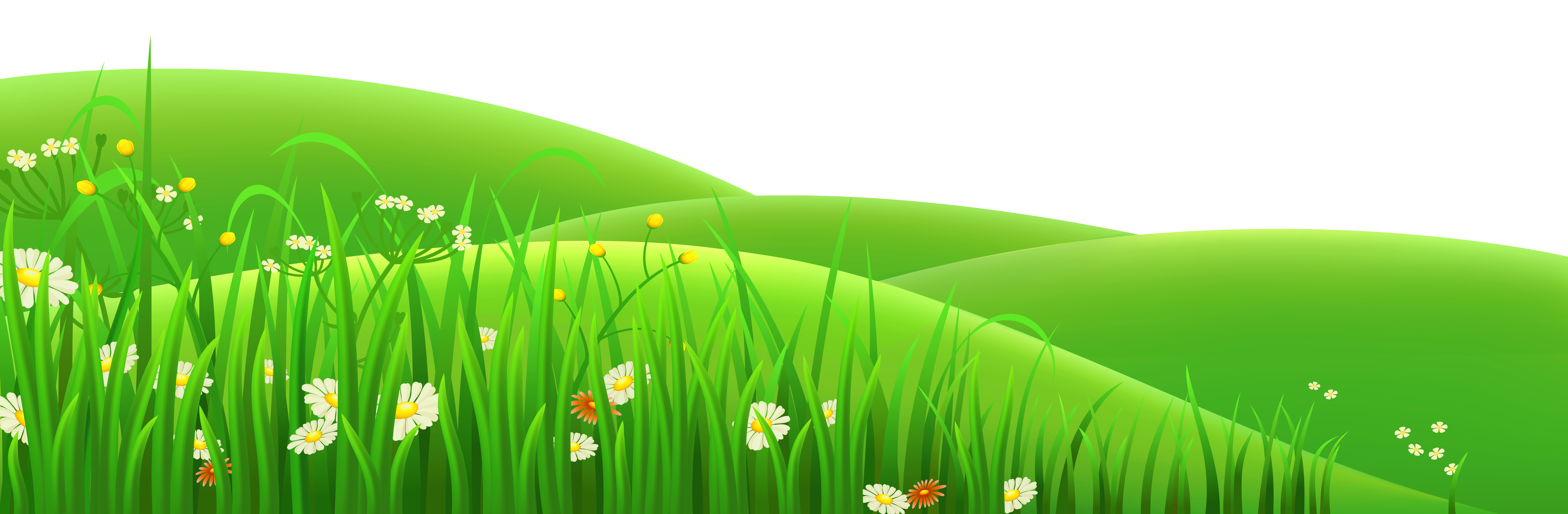 Grass Meadow PNG Pic