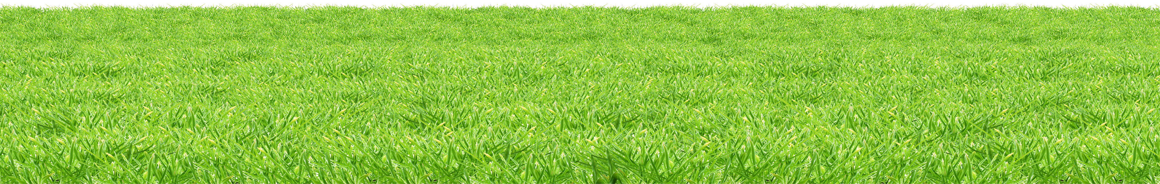 Grass Meadow PNG Transparent Image