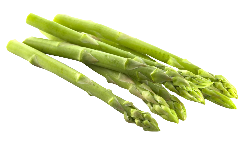 Green Asparagus Free PNG Image