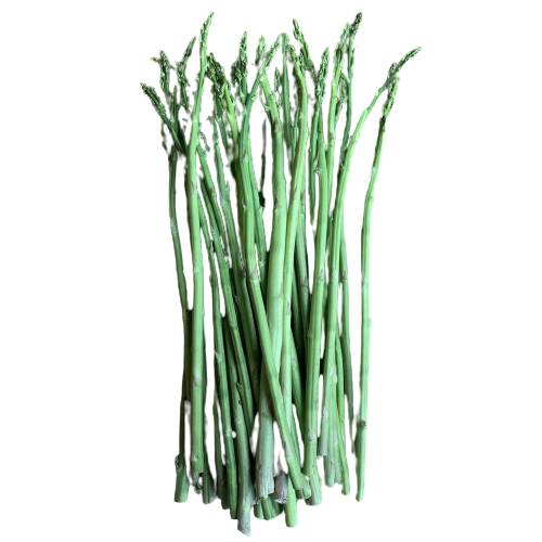 Green Asparagus PNG Free Download