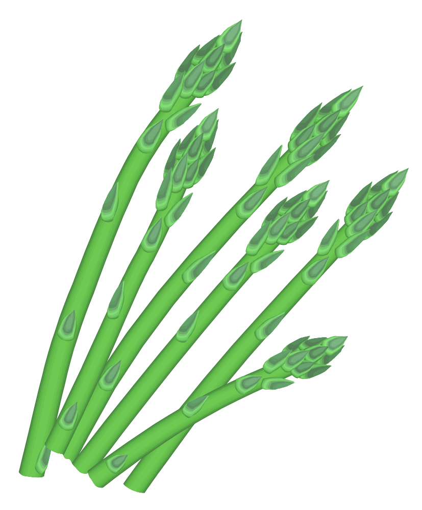 Green Asparagus PNG Photo