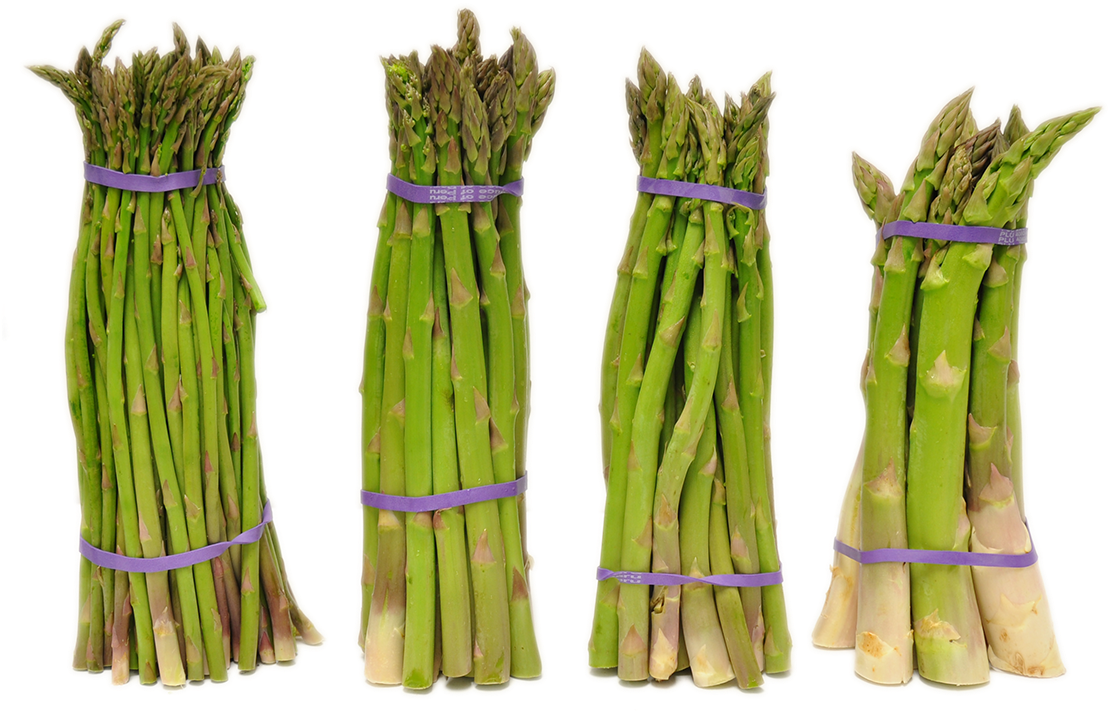 Gambar Transparan asparagus hijau