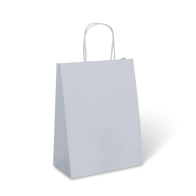 Grocery Paper Bag PNG Download Image