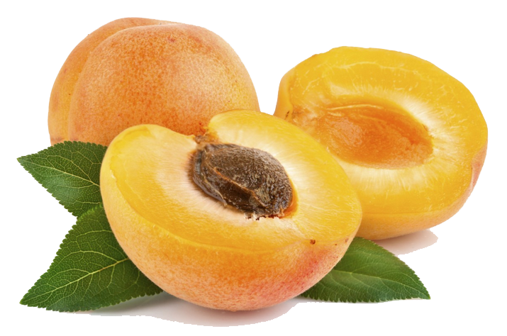 Half Apricot PNG Image