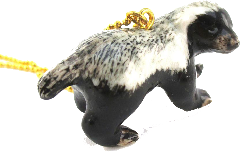 Madu badger PNG Gambar Transparan
