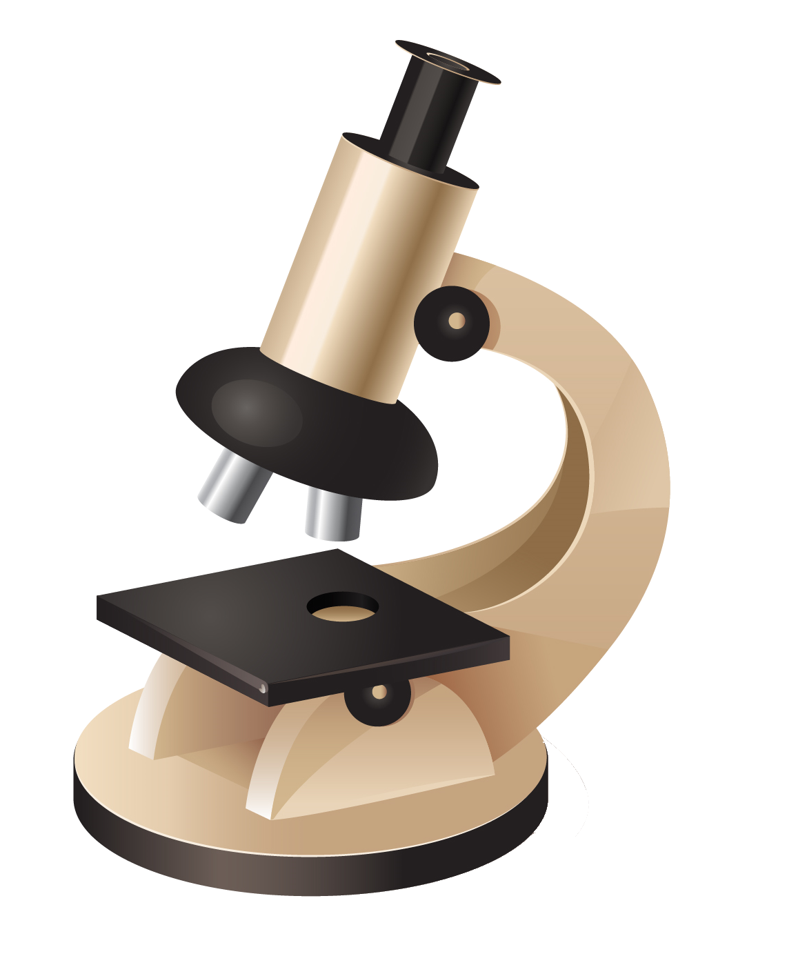 Lab Microscope PNG Transparent Image