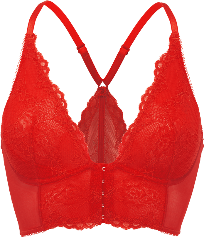 Lace Bra PNG Free Download