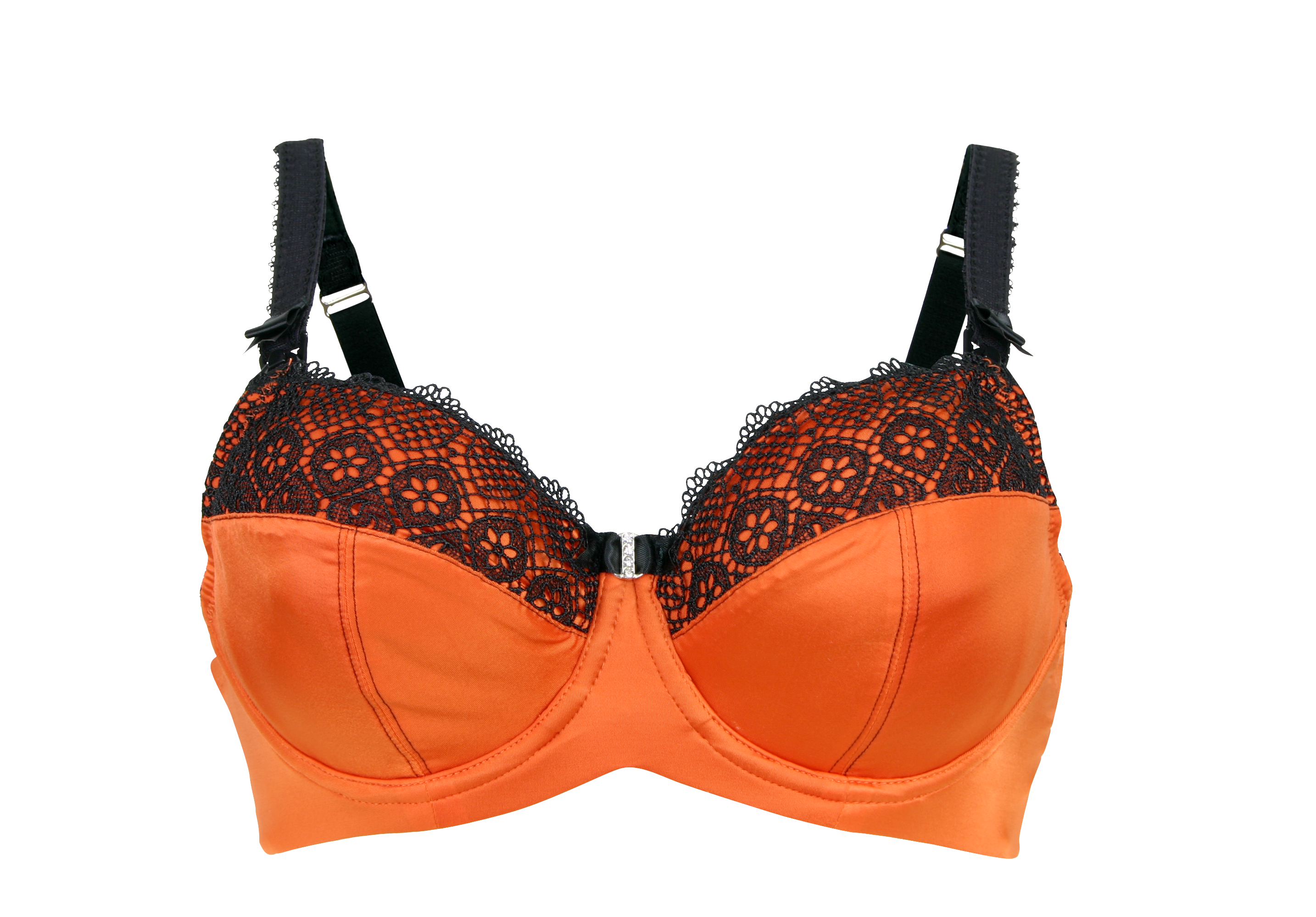 Lace Bra PNG Picture