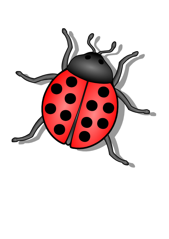 Ladybug Bugs PNG Transparent Image