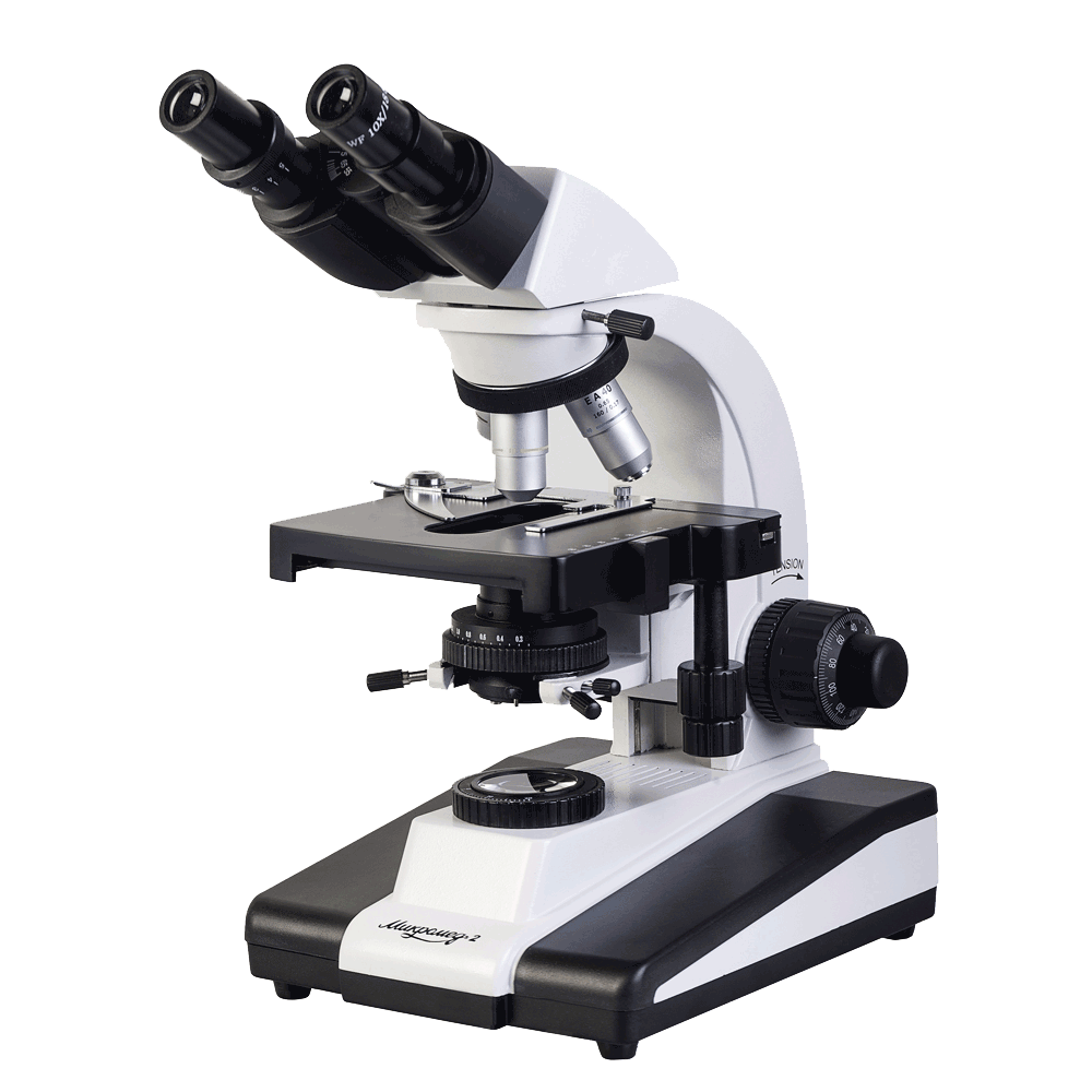 Fond de limage microscope PNG