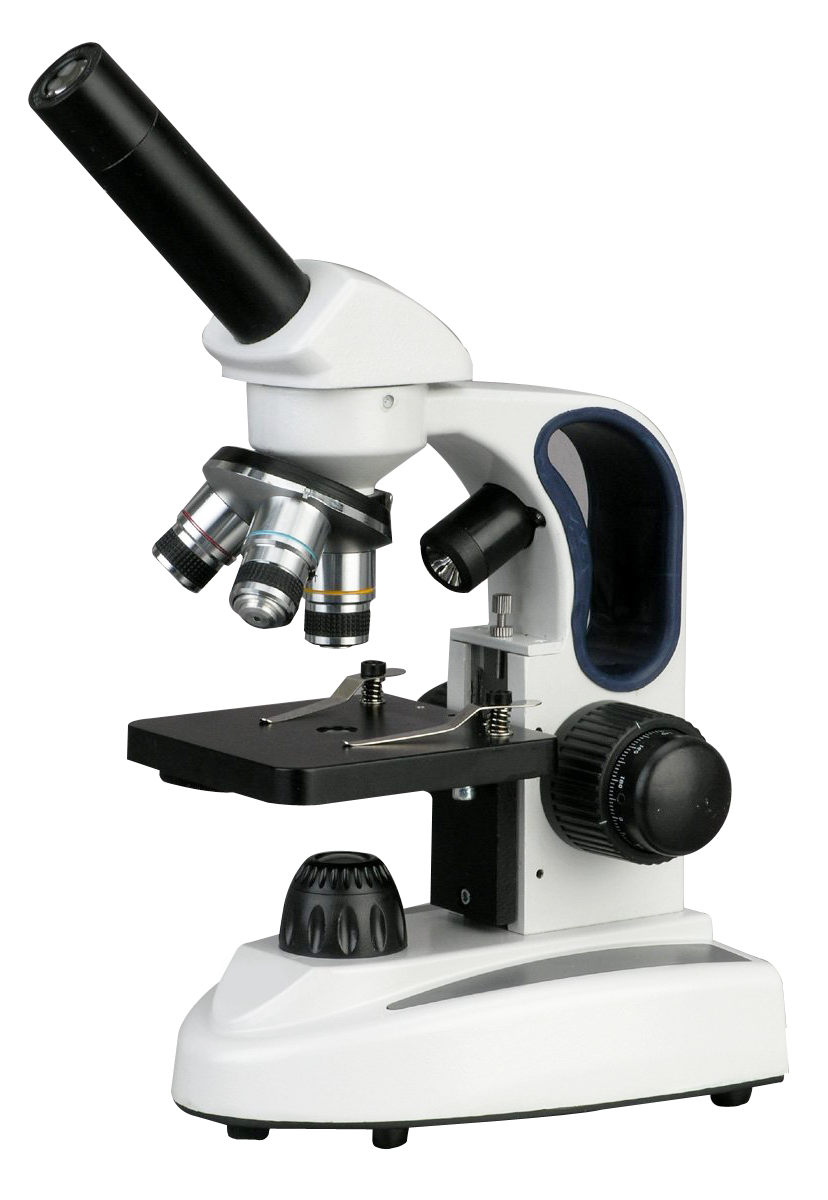 Image du microscope PNG