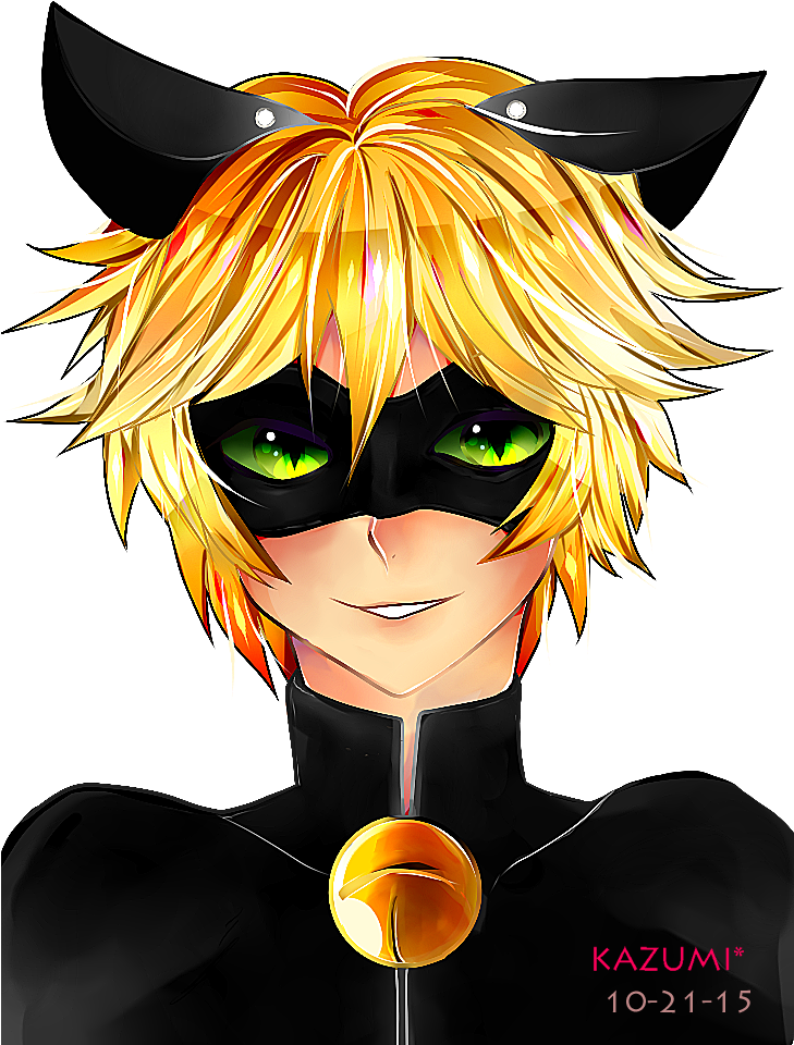 Miraculous Tales of Ladybug And Cat Noir Series PNG Transparent Image