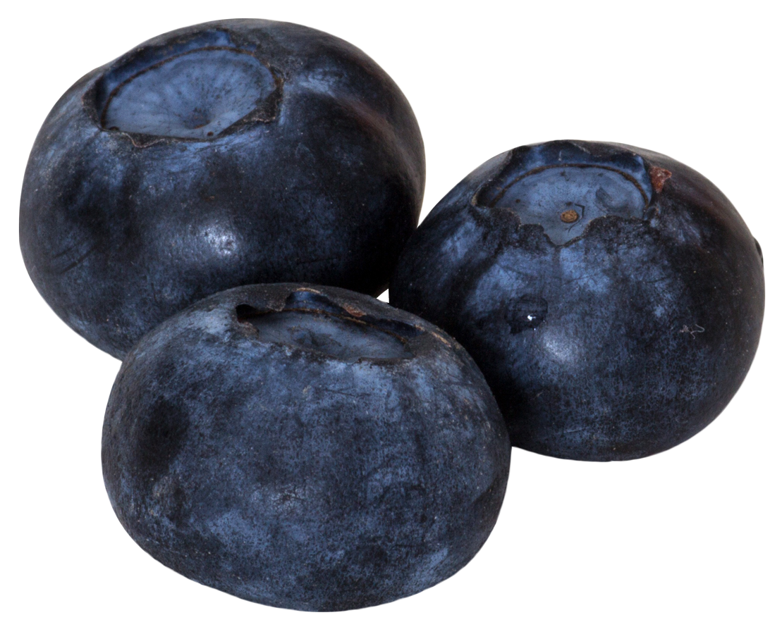 Organic Blueberry PNG High-Quality Image