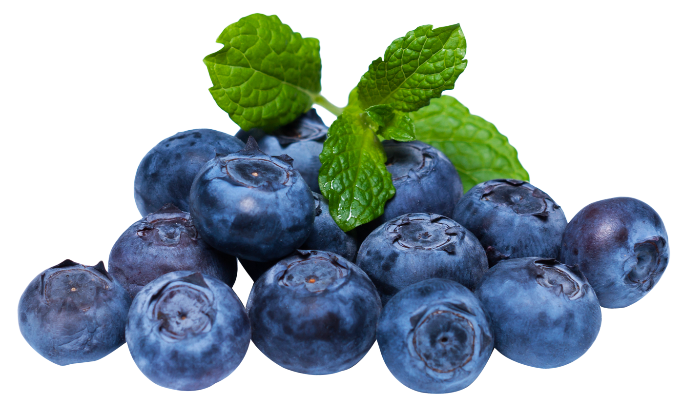 Organic Blueberry PNG Image Background