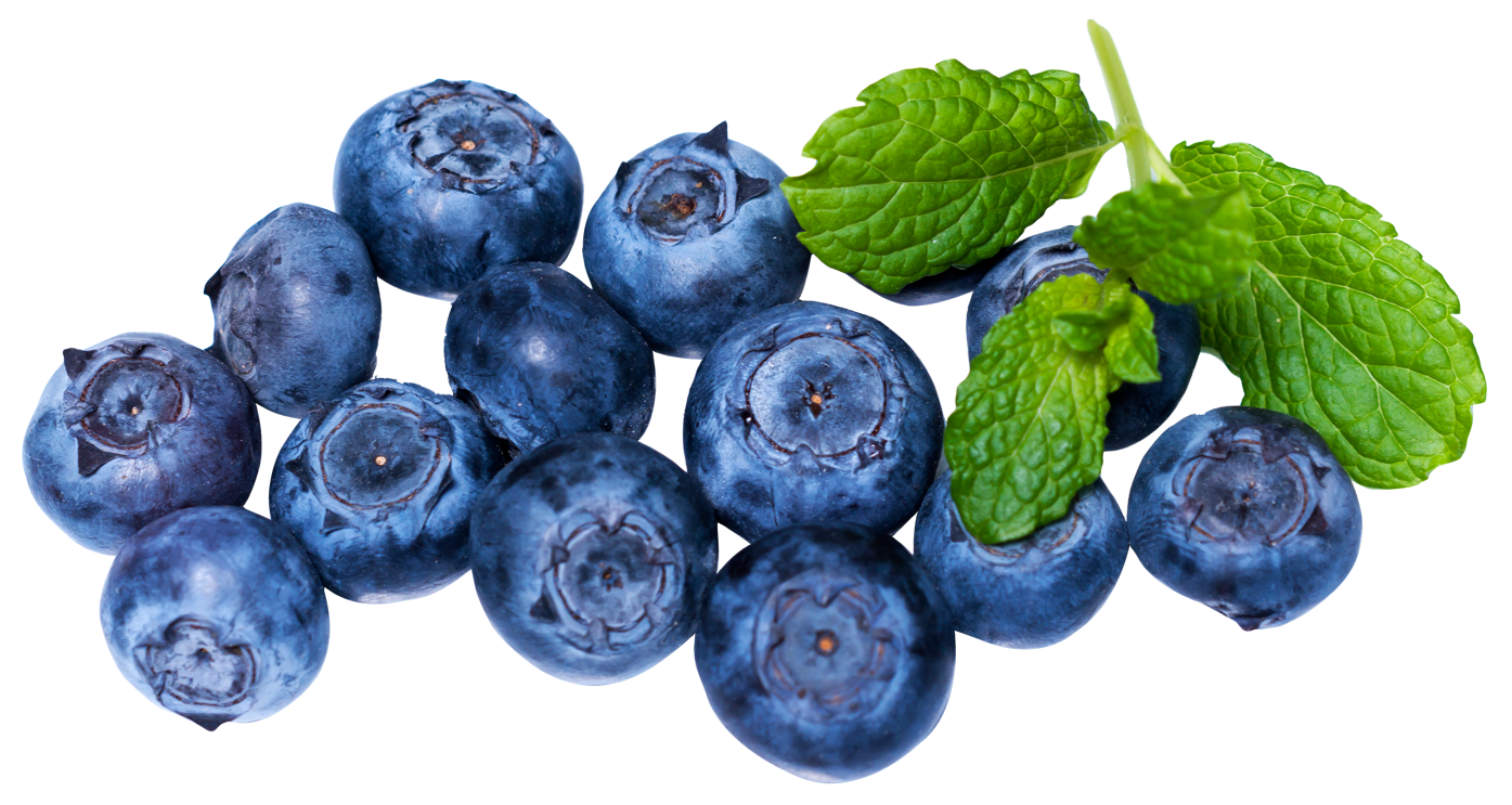 Gambar PNG blueberry organik