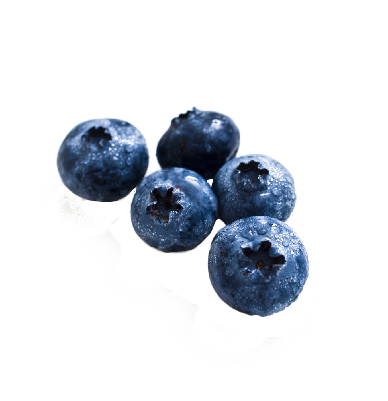 Foto PNG blueberry organik