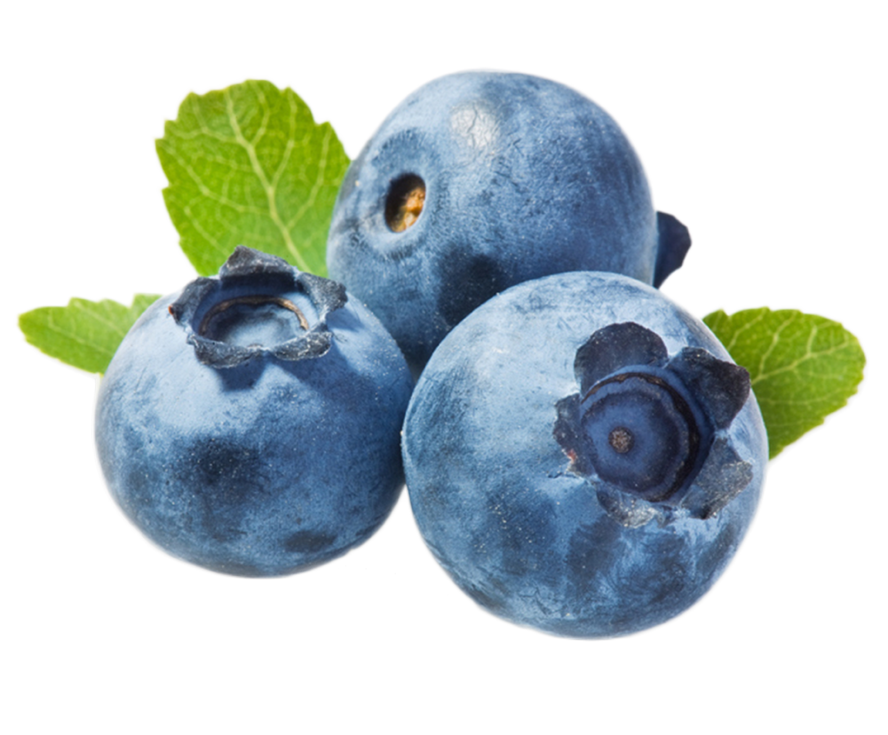 Organic Blueberry PNG Transparent Image