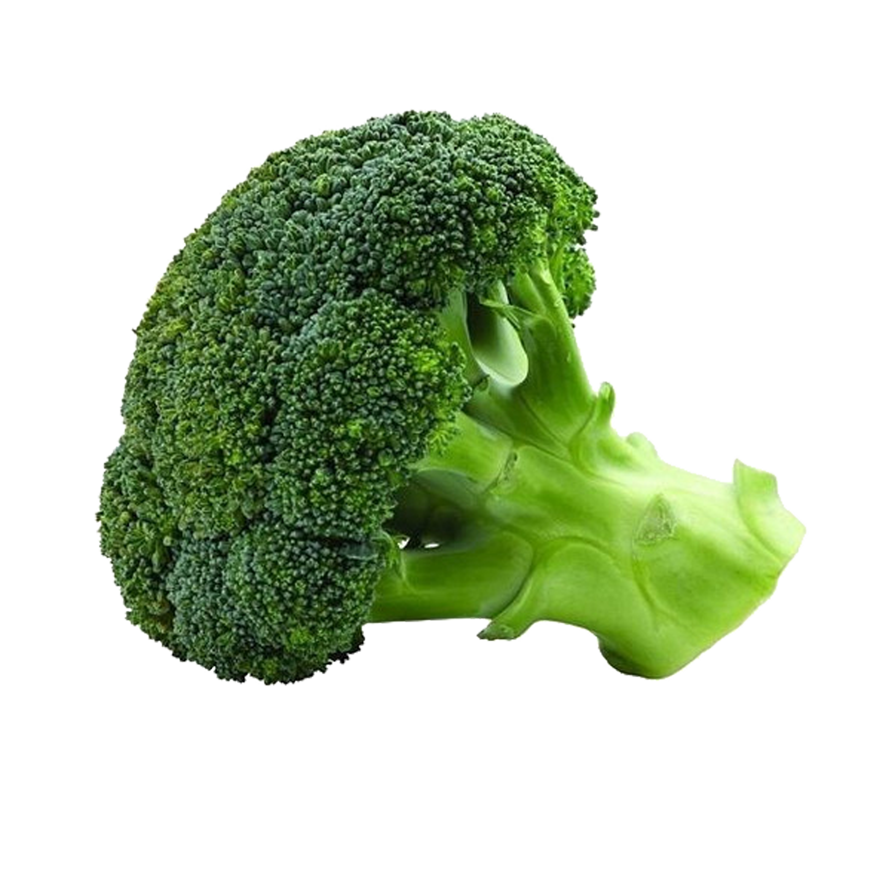 Organic Broccoli PNG Download Image