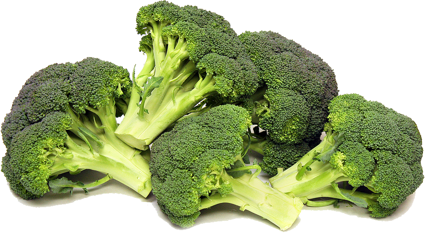Organic Broccoli PNG Image Background