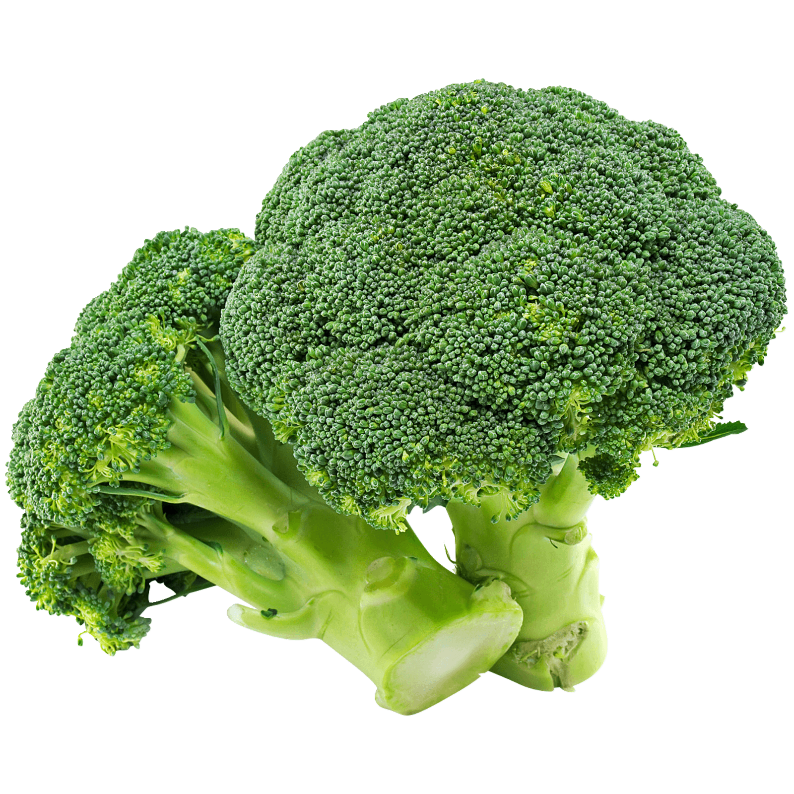 Organische Broccoli PNG-Afbeelding