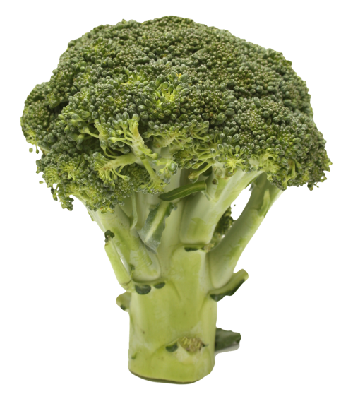 Organisch broccoli Transparant Beeld