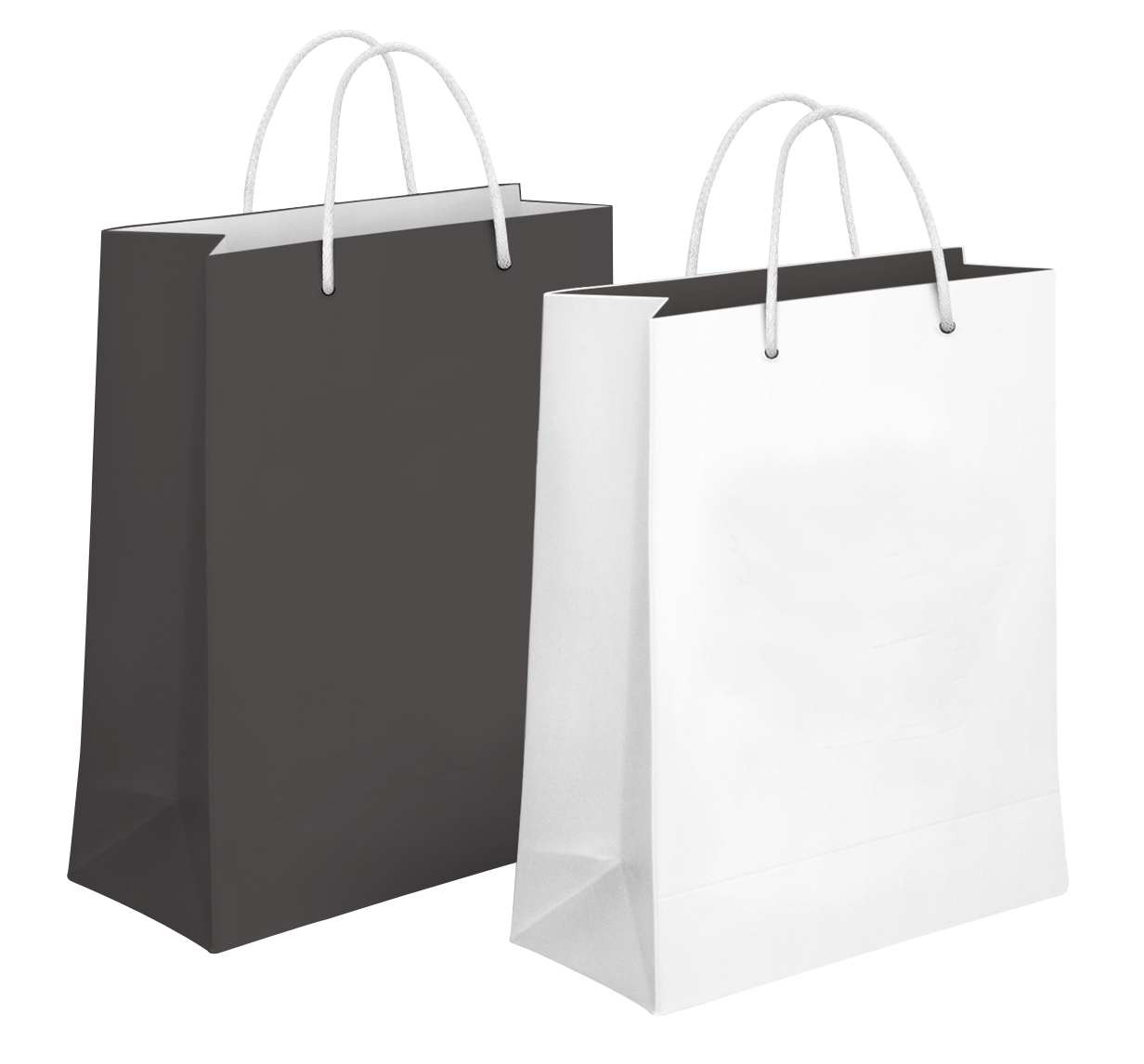 Package Paper Bag PNG Image