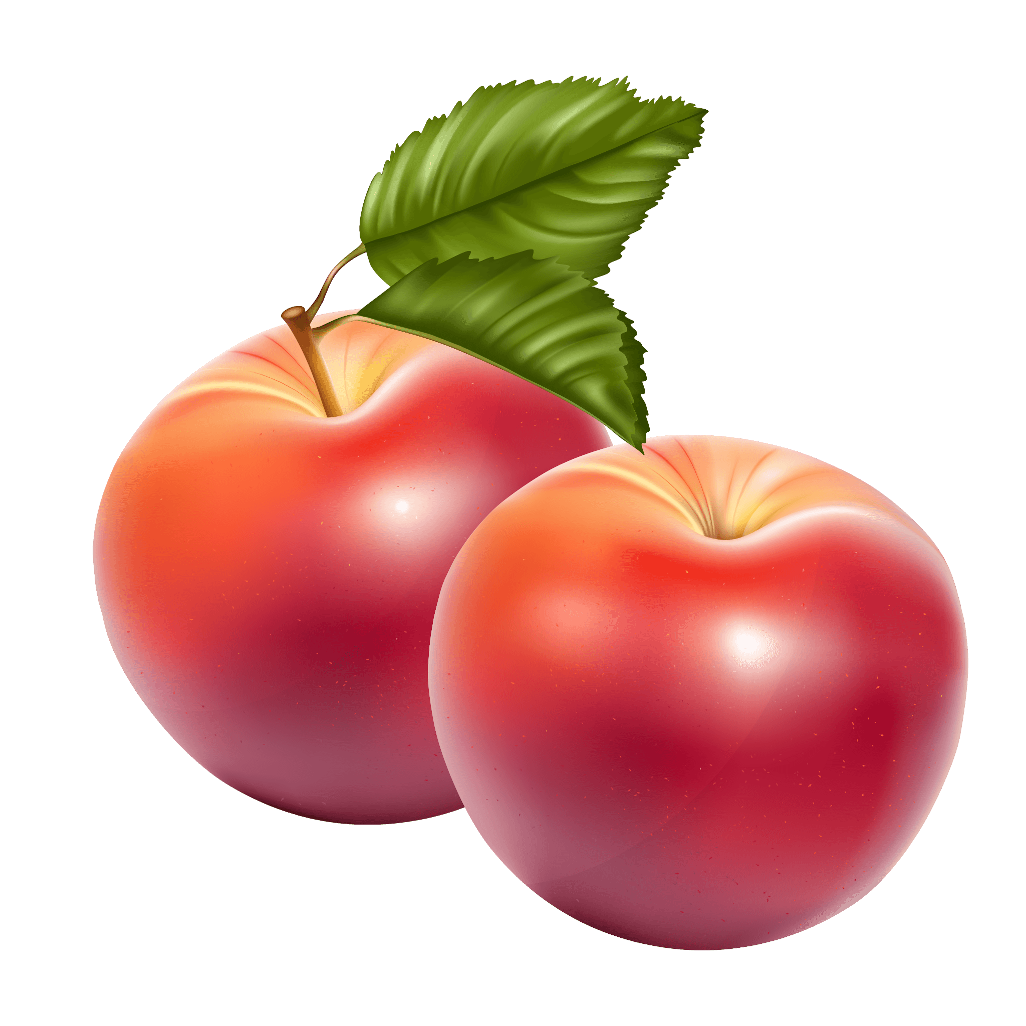 빨간 사과 과일 PNG 무료 다운로드